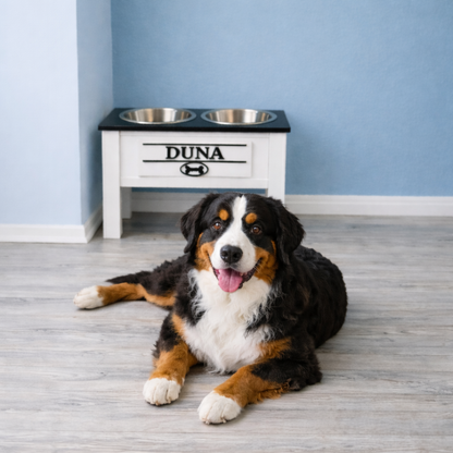 Comedero Elevado Perro Personalizado con Nombre - Modelo Sintonía