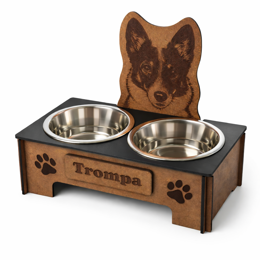 Comedero Elevado Perro Personalizado con Nombre - Modelo Foto