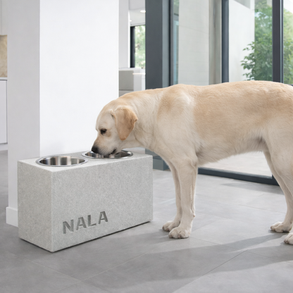 Comedero Elevado Perro Personalizado con Nombre y Luz LED - Modelo Stone