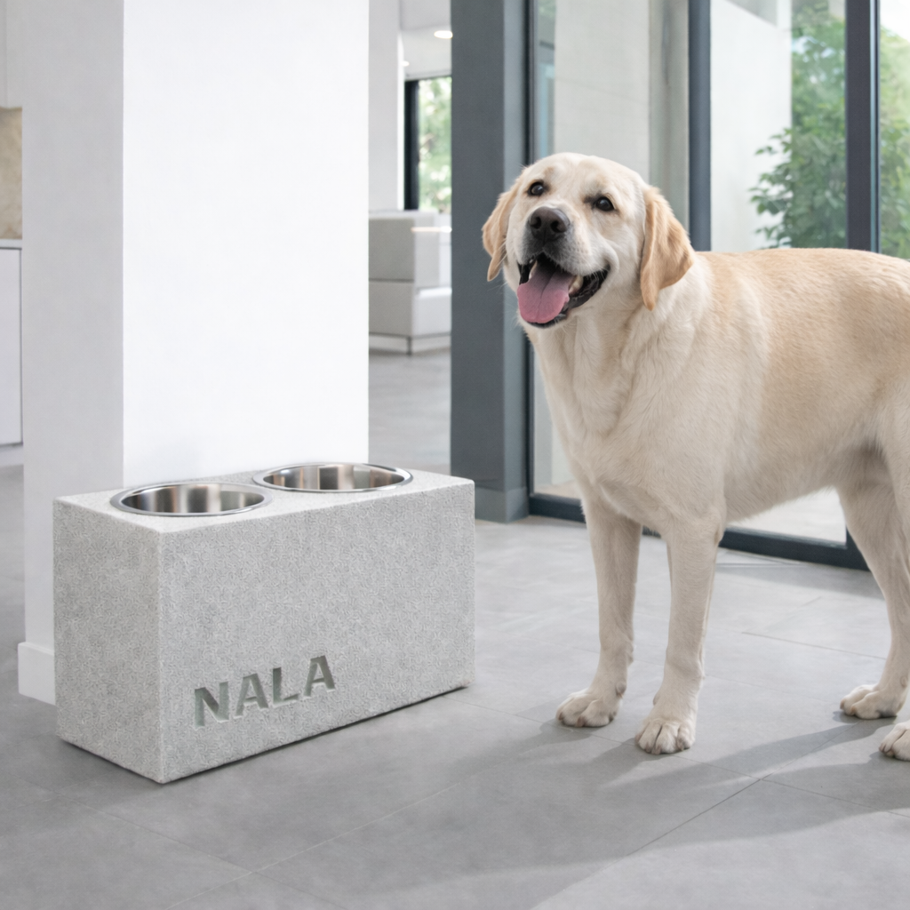Comedero Elevado Perro Personalizado con Nombre y Luz LED - Modelo Stone